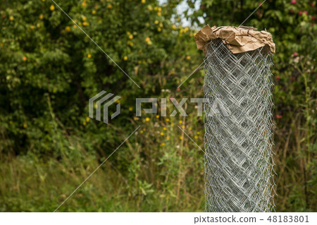 Rabitz grid in a roll on in garden. Selective focus. Free space for text. 48183801