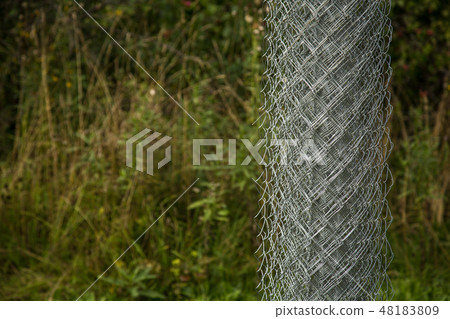 Rabitz grid in a roll on in garden. Selective focus. Free space for text. 48183809