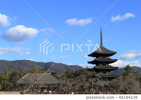 Kofuku-ji Temple 48184226