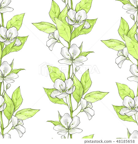 Floral seamless pattern with white flowers and... - Stock Illustration ...
