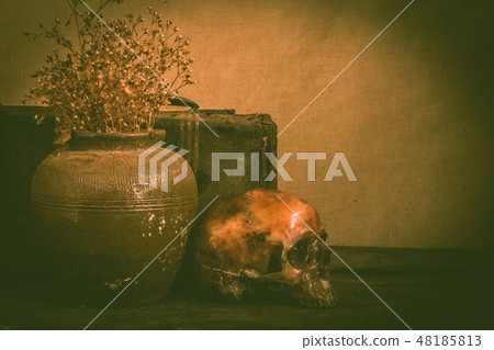 Human skull and flower vase old treasure on wooden 48185813