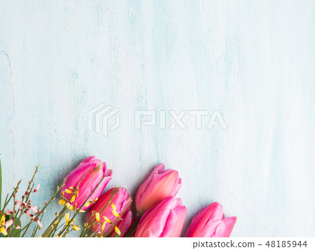 Beautiful tulips on pastel green background 48185944