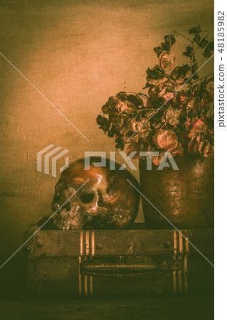 Human skull and flower vase old treasure on wooden 48185982