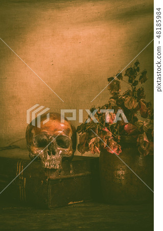 Human skull and flower vase old treasure on wooden 48185984