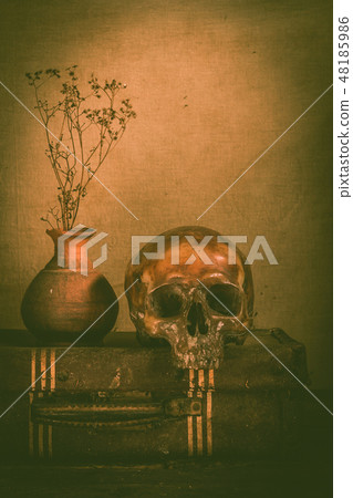 Human skull and flower vase old treasure on wooden 48185986