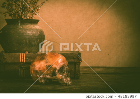 Human skull and flower vase old treasure on wooden Human skull and flower vase old treasure on wooden 48185987