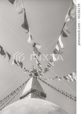 Bodhnath stupa 48186239