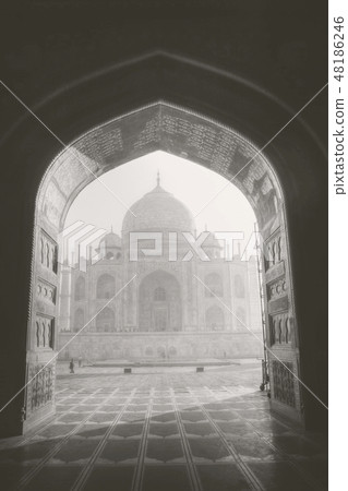Taj Mahal Taj Mahal 48186246