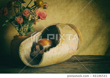 Human skull and flower vase old on wooden  48186581