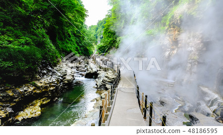 Oyasukyo Oyasukyo 48186595