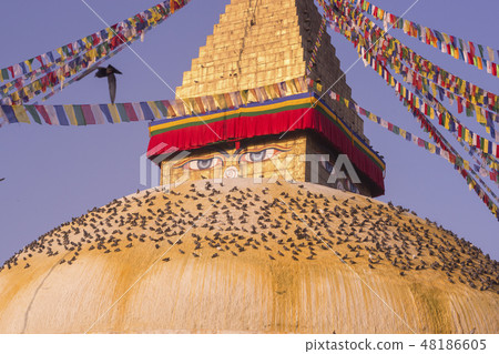 Boudhanath Stupa in Kathmandu, Nepal Boudhanath Stupa in Kathmandu, Nepal 48186605