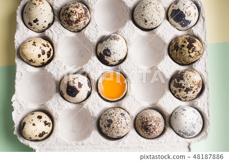 Quail eggs in random order with yolk in cardboard Quail eggs in random order with yolk in cardboard 48187886