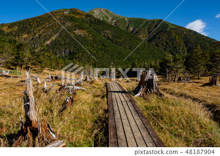 Southern Alps Shodake (view from Shodaira) 48187904