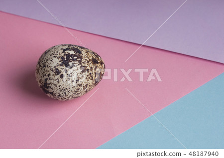 single quail eggs on color background. Vegetarian single quail eggs on color background. Vegetarian 48187940