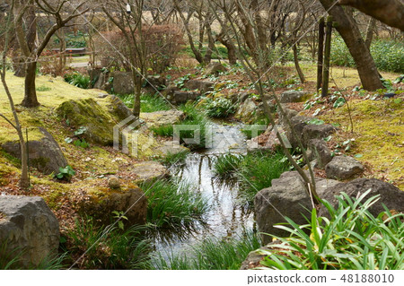 Kirameki of winter creek 48188010