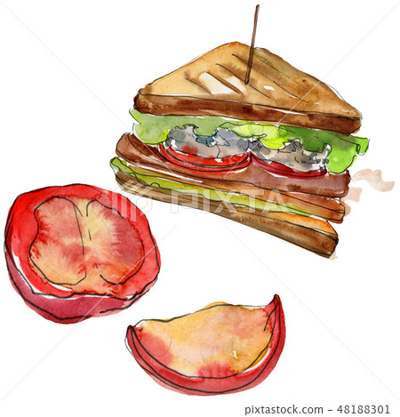 Sandwich in a watercolor style isolated set. Watercolour fast food illustration element on white Sandwich in a watercolor style isolated set. Watercolour fast food illustration element on white 48188301