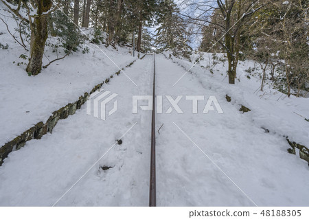 春日山神社347 48188305