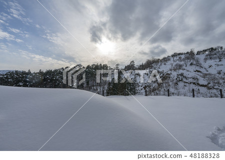 春日山城堡431 春日山城堡431 48188328