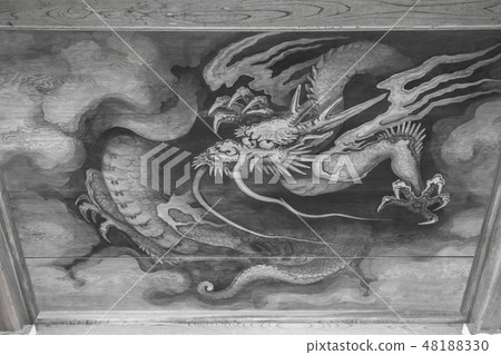 Rensenji 520 Rensenji 520 48188330