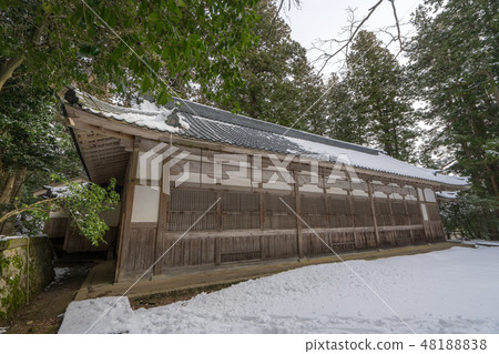Yahiko Shrine 37 Yahiko Shrine 37 48188838