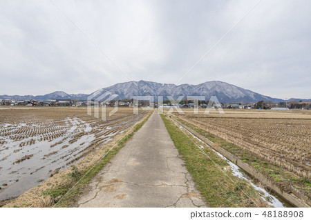 Yahiko Mountain 317 48188908