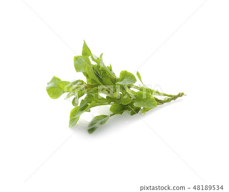 watercress isolated on white background 48189534