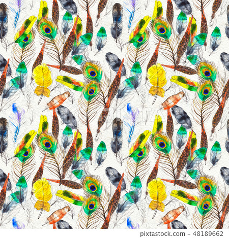 Watercolor feathers seamless pattern. Hand painted texture 48189662