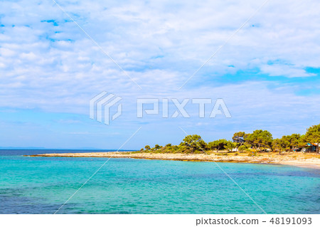 Summer vacation background with turquoise sea water bay and pine trees 48191093