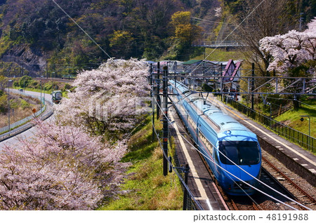 Spring Rampant Express Limited Express（舊：限定快捷朝霧） 48191988