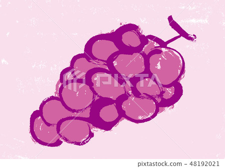 Grape watercolor painting Grape watercolor painting 48192021
