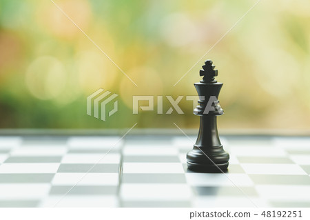 chessboard with a chess piece on the back  48192251