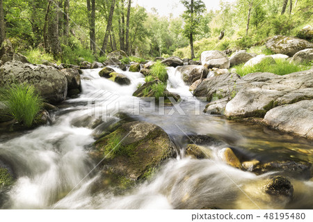 water running down one river rapids with stones water running down one river rapids with stones 48195480