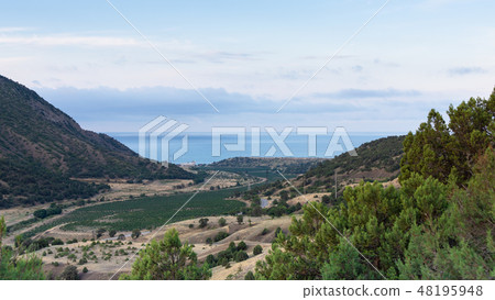 View of the sea and the valley with vineyards View of the sea and the valley with vineyards 48195948