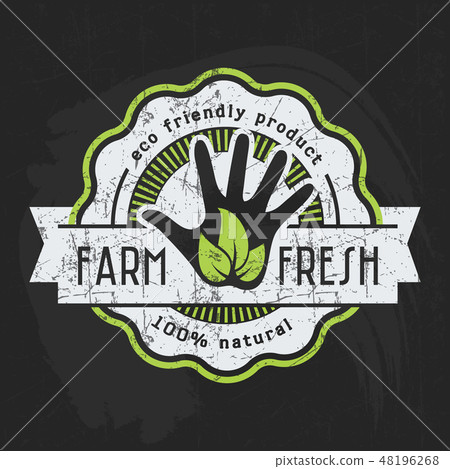Logo of healthy organic natural food on blackboard 48196268