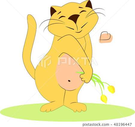 cat with flowers cat with flowers 48196447