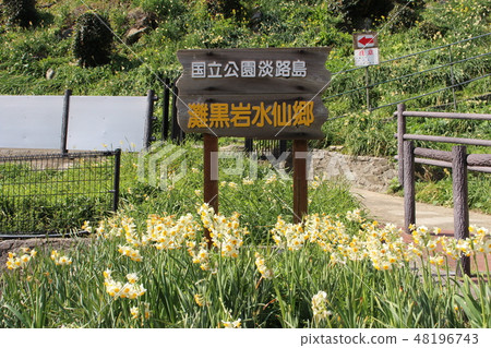 Nada Kuroiwa Water Sengoku 48196743