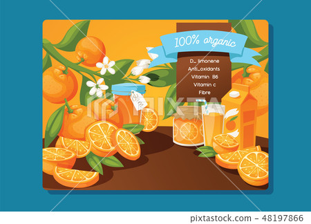 Citrus vector fresh orange fruit backdrop and organic tropical juicy food jam illustration 48197866