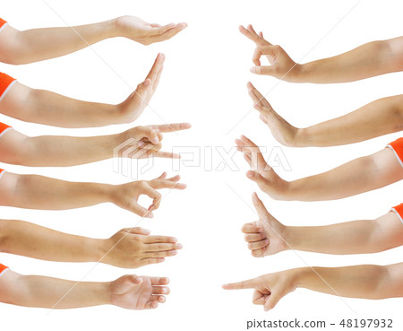 Collection of female's hand gesture isolated. Collection of female's hand gesture isolated. 48197932