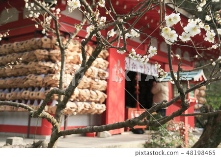 Ebata Tenshin公司 48198465