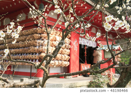 Ebata Tenshin公司 48198466