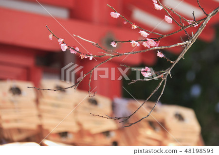 Ebata Tenshin Company 48198593