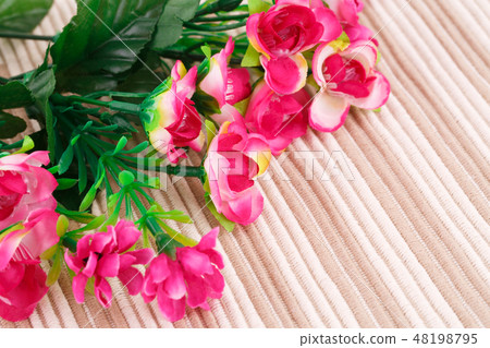 Flowers 48198795