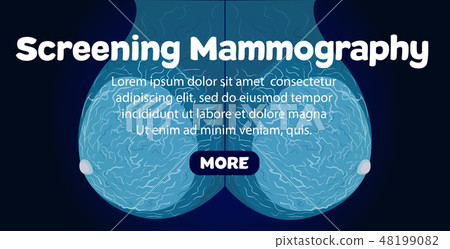 Screeningl Mammography banner Screeningl Mammography banner 48199082