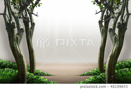 Nature background. Isolated and clipping path 48199655