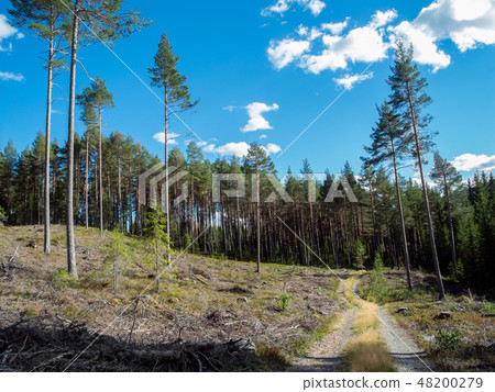 A recreational hiking in nature adventure A recreational hiking in nature adventure 48200279