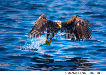 Shiretoko winter 48201035