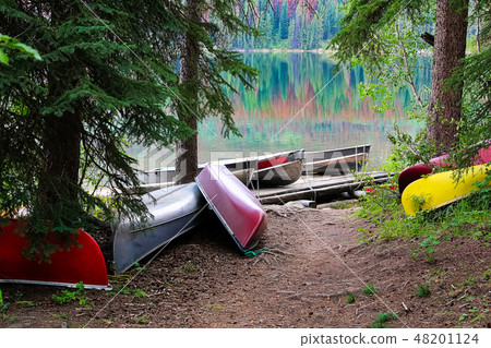 Various canoes and boats scattered amongst trees Various canoes and boats scattered amongst trees 48201124