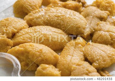 Delicious sea urchin of Hokkaido 48201438