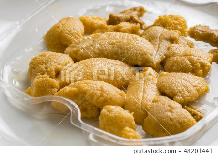 Delicious sea urchin of Hokkaido 48201441
