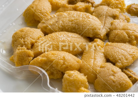 Delicious sea urchin of Hokkaido Delicious sea urchin of Hokkaido 48201442
